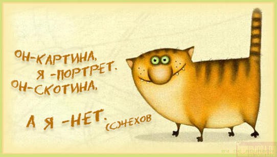 Кот Серьезный