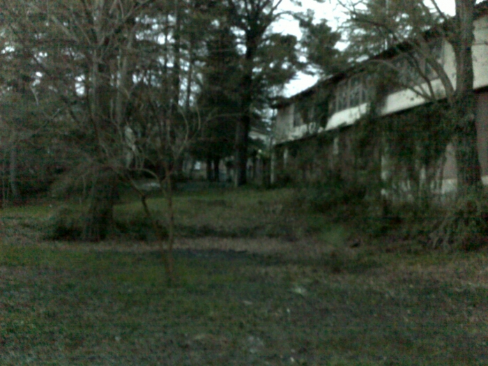 Детский сад