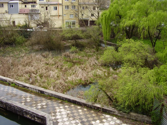 Сочи 4 больница