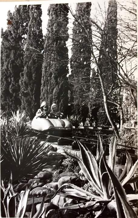 Луна-парк, железная дорога