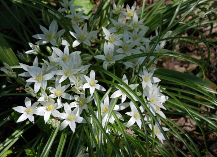 красиво, правда? красиво, правда?