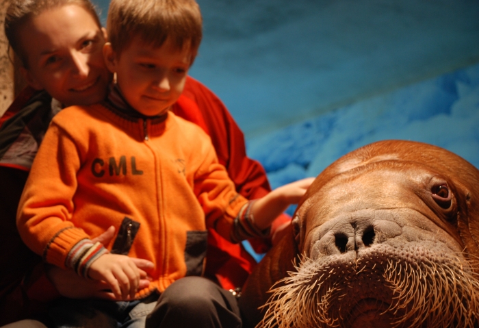 мы и Гаврюша