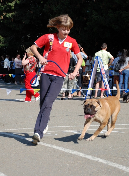 выставление в ринге