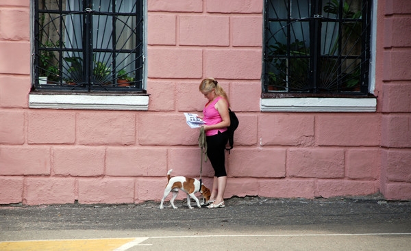 в ожидании...