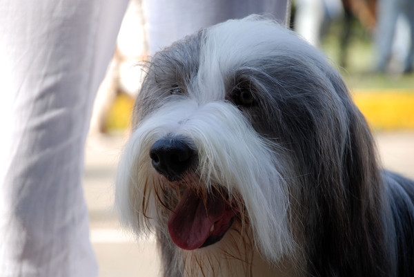 в ожидании...