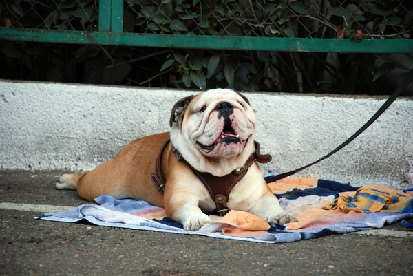 в ожидании...