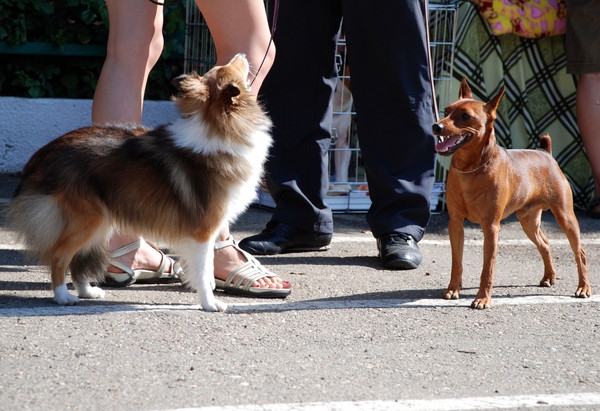 в ожидании...