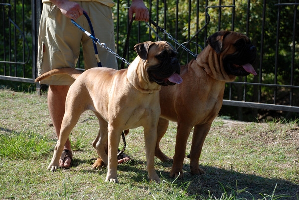 в ожидании...