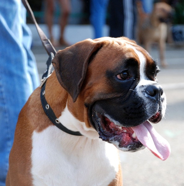 в ожидании...