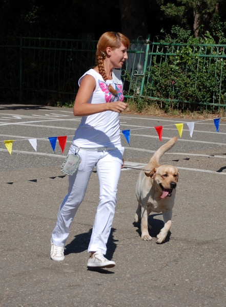 выставление в ринге