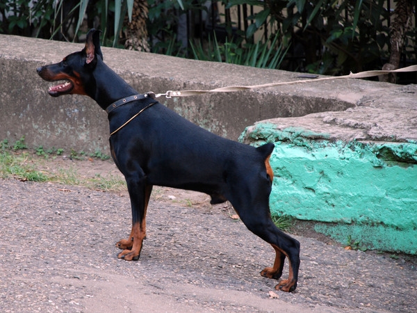 в ожидании...