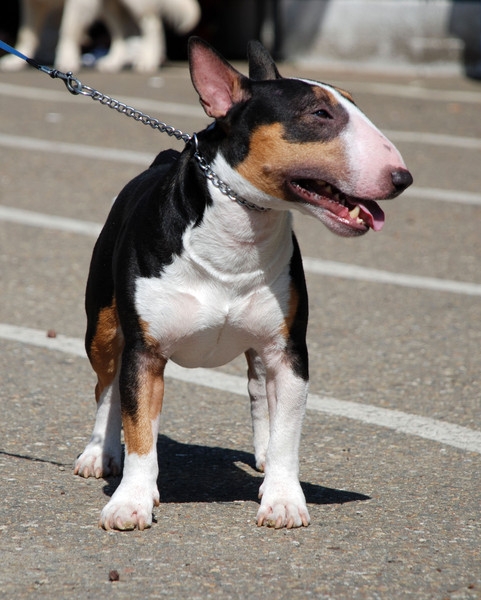 в ожидании...