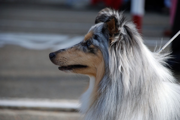 в ожидании...