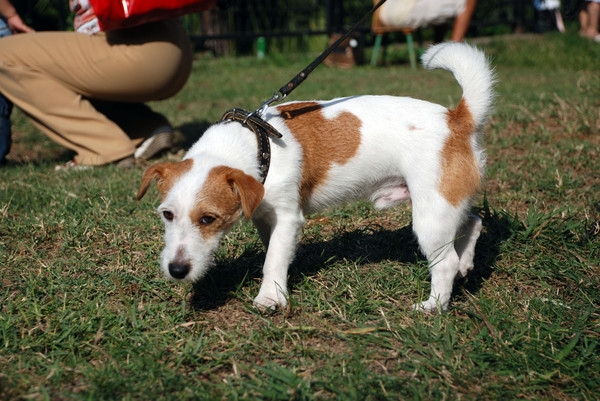 в ожидании...