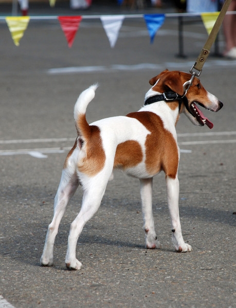 в ожидании...
