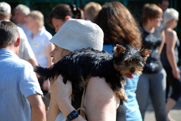 в ожидании...