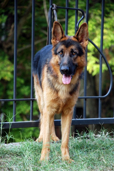 в ожидании...