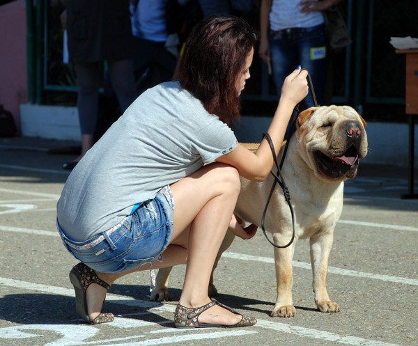 выставление в ринге