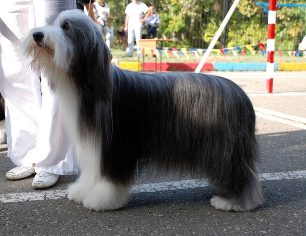 в ожидании...