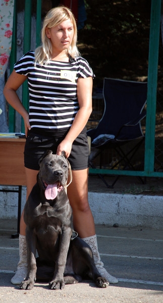 в ожидании...