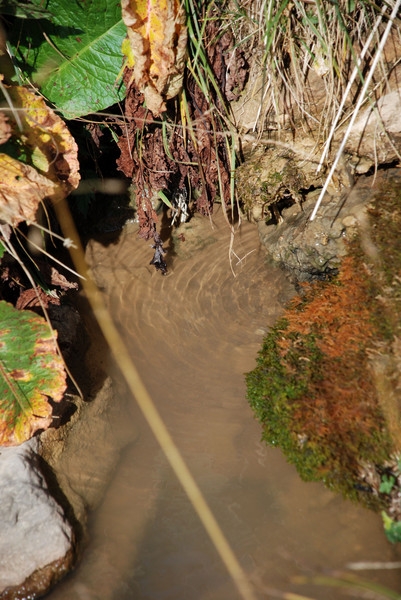 Лагонаки, ручеек