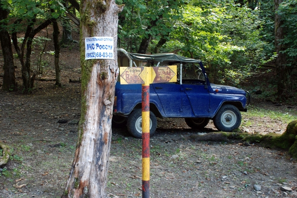 развилка троп