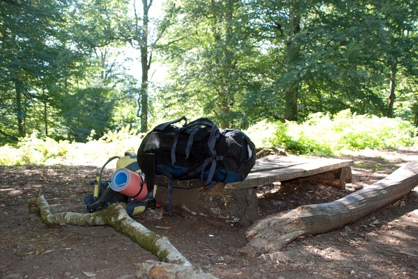 своя ноша, которая не тянет))