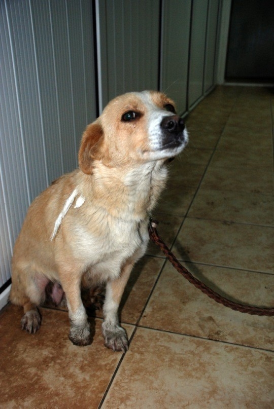 такой её подобрали