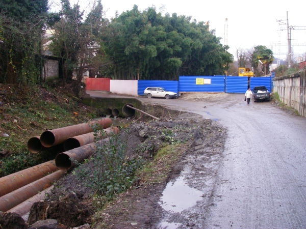 А тут деревьев уже нет