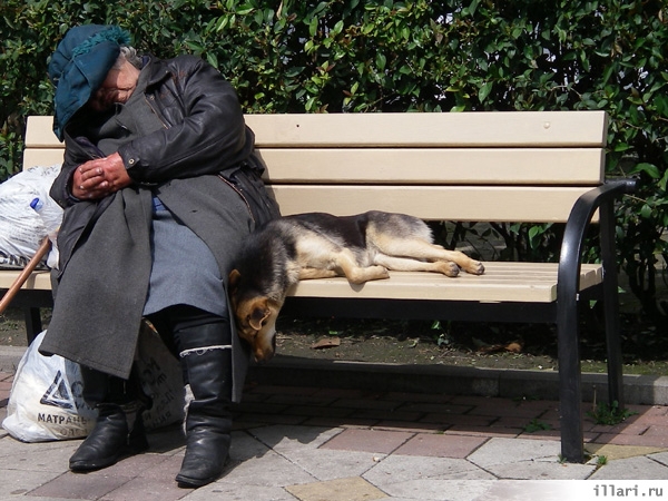 Их тоже разморило покайфу