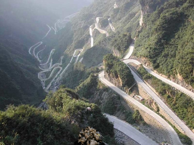 Сочи, дороги, мэр, дураки