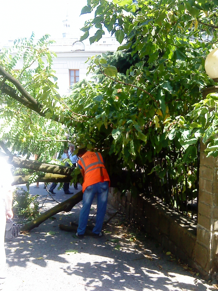 ж/д вокзал, дерево, дорога