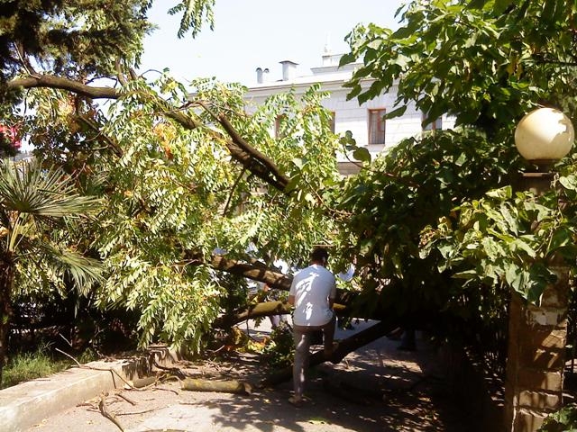 ж/д вокзал, дерево, дорога ж/д вокзал, дерево, дорога