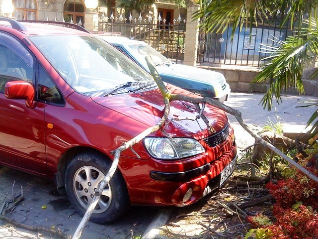 ж/д вокзал, дерево, дорога