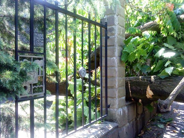 ж/д вокзал, дерево, дорога