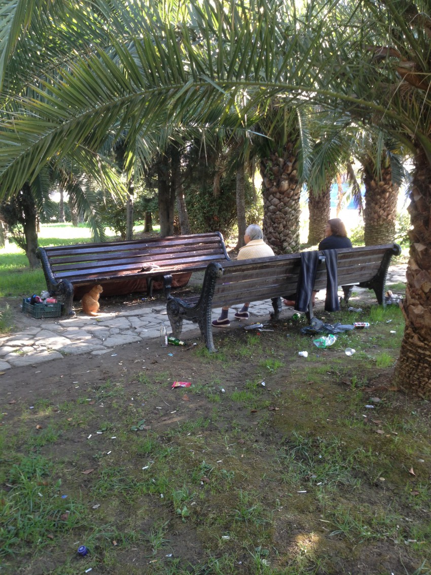 Сочи красивый город Сочи красивый город