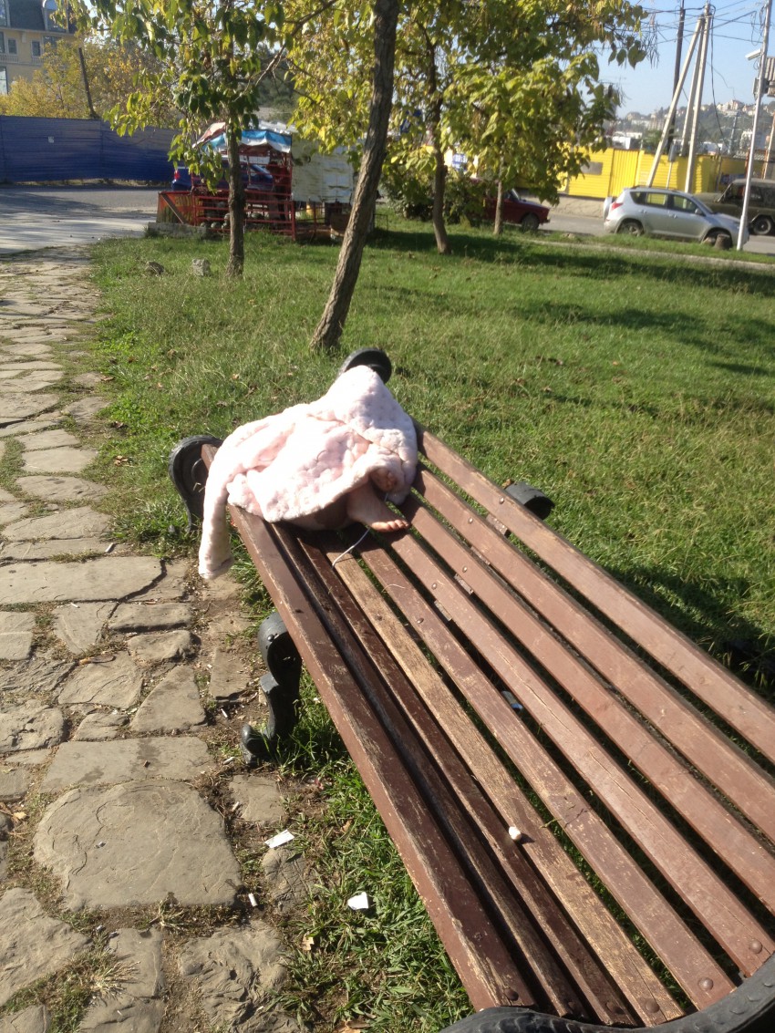 Пахомов эффективный мэр Пахомов эффективный мэр