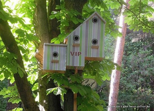 185-ФЗ в действии