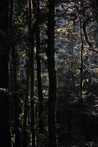 фото: Землянкина О.