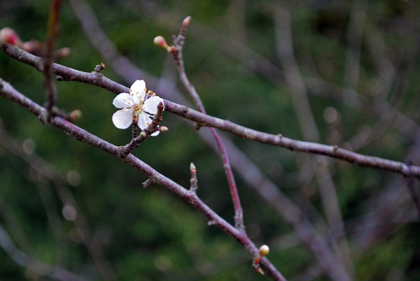 фото: Землянкина О.