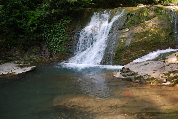 фото Землянкина О.