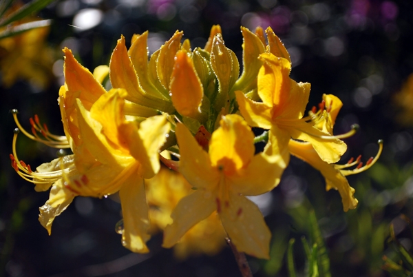 фото Землянкина О.