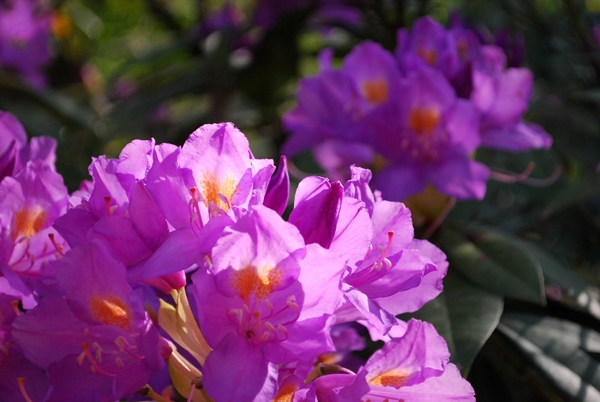 фото Землянкина О.