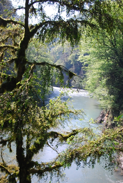 фото Землянкина О.