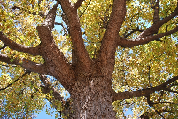 фото Землянкиной О