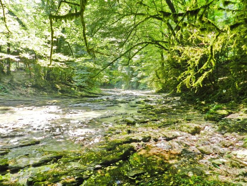 Пошли по руслу реки