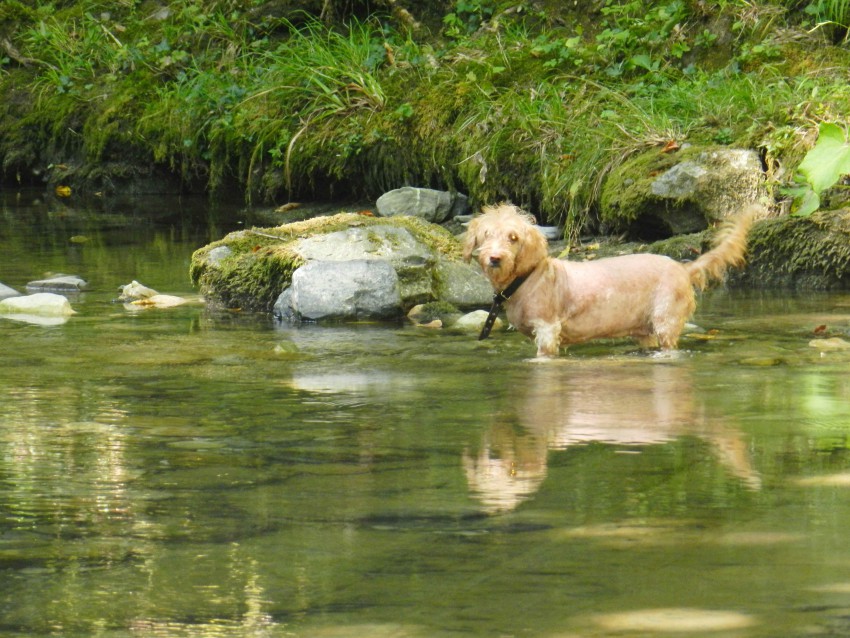 Тоже участница похода)))