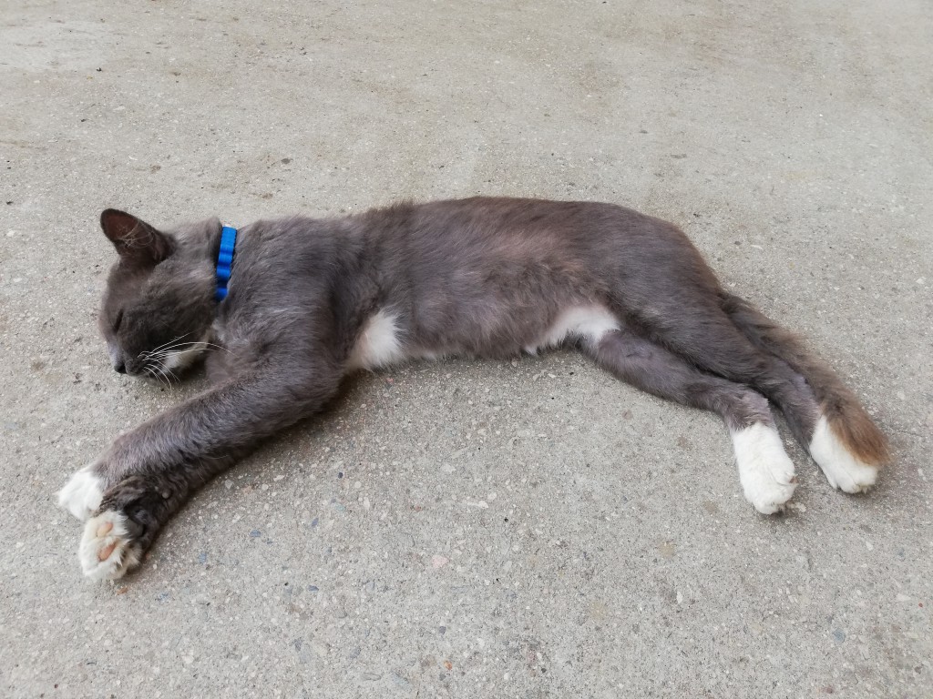 Безмятежность. Чтоб прийти к такому состоянию, нам надо много кушать!)) Готовы разделить 3-е и 4-е места, прямо здесь, символично, на ПриветСочи.