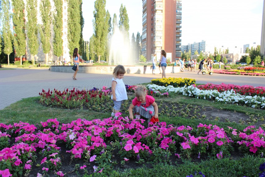 парк,есть где погулять с детьми