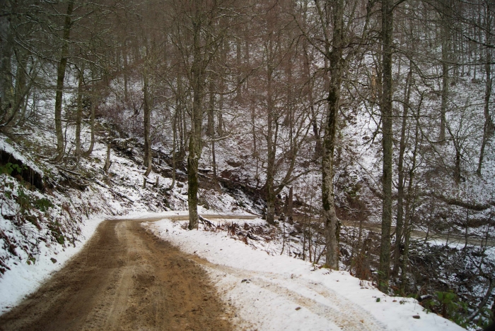 дорога на хмелёвские озёра